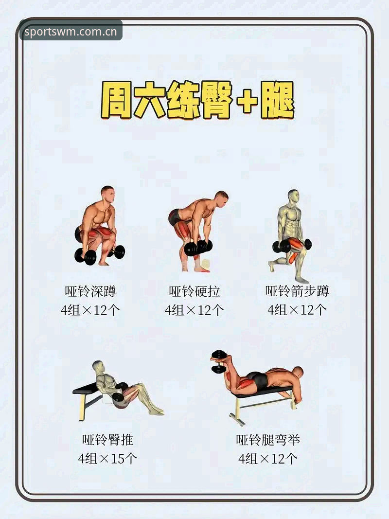 6个关键步骤教你找到完美体育使用教程哪个好